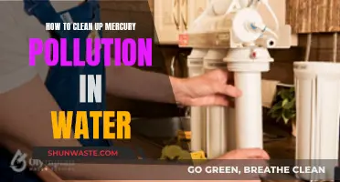 Mercury-Contaminated Water: Effective Strategies for Clean-Up and Restoration