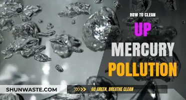 Effective Mercury Cleanup: Strategies for a Cleaner Environment