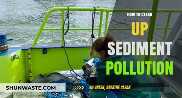 Sediment Pollution: Cleaning and Protecting Our Waterways