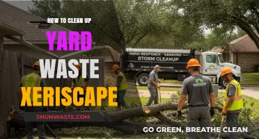 Efficient Yard Waste Cleanup Tips for a Beautiful Xeriscape Garden