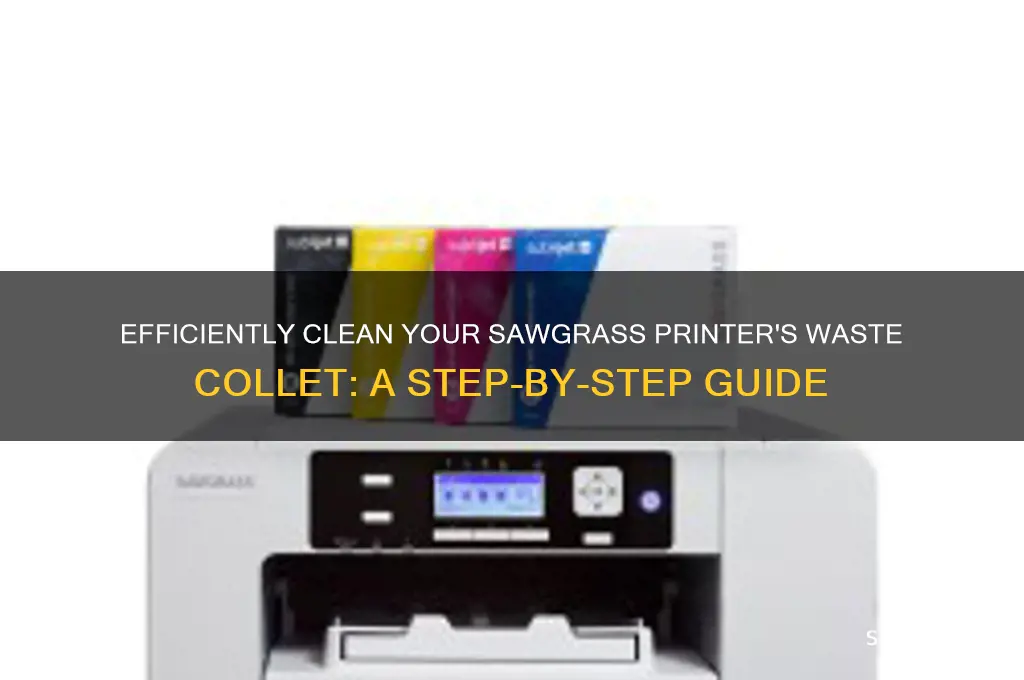 how to clean waste coll sawgrass printer