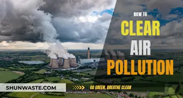 Clear Air Strategies: Solutions for Pollution