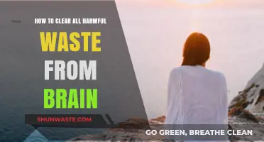 Detox Your Brain: Effective Ways to Eliminate Harmful Waste