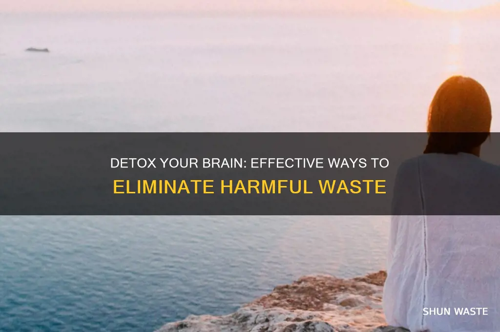 how to clear all harmful waste from brain