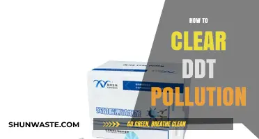 Eradicating DDT Pollution: Strategies for a Sustainable Future