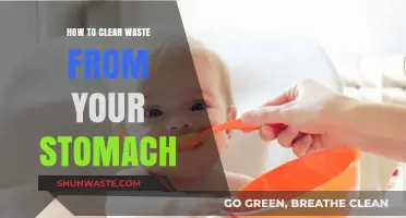 Effective Ways to Detox Your Stomach and Eliminate Waste Naturally