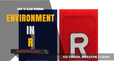 Efficiently Clear Your R Working Environment: A Step-by-Step Guide