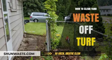 Efficient Yard Waste Removal: Tips for a Clean, Healthy Turf