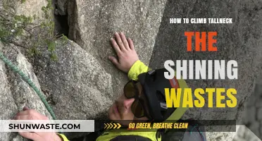 Conquering Tallneck: A Guide to Scaling the Shining Wastes