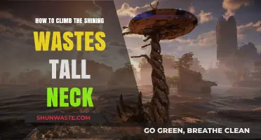 Mastering the Climb: Conquer the Shining Wastes Tall Neck
