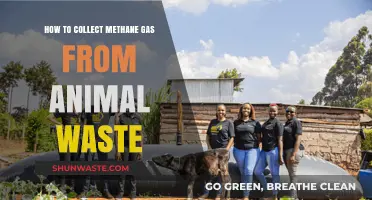 Harnessing Methane: Efficient Methods to Capture Animal Waste Gas