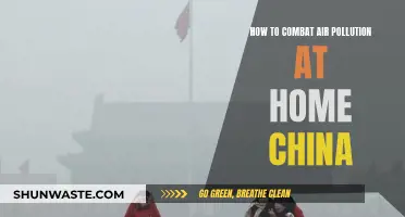 Battling Air Pollution: Simple Chinese Home Remedies