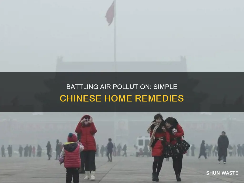 how to combat air pollution at home china