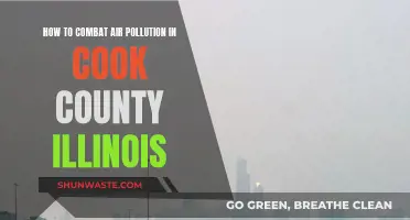 Fighting Air Pollution: Strategies for Cook County, Illinois