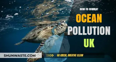 UK's Ocean Pollution: Strategies for Protection