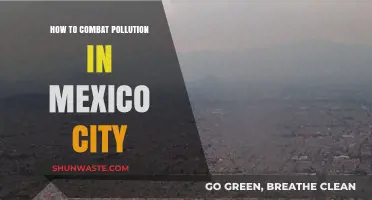 Mexico City's Pollution: Strategies for Improvement