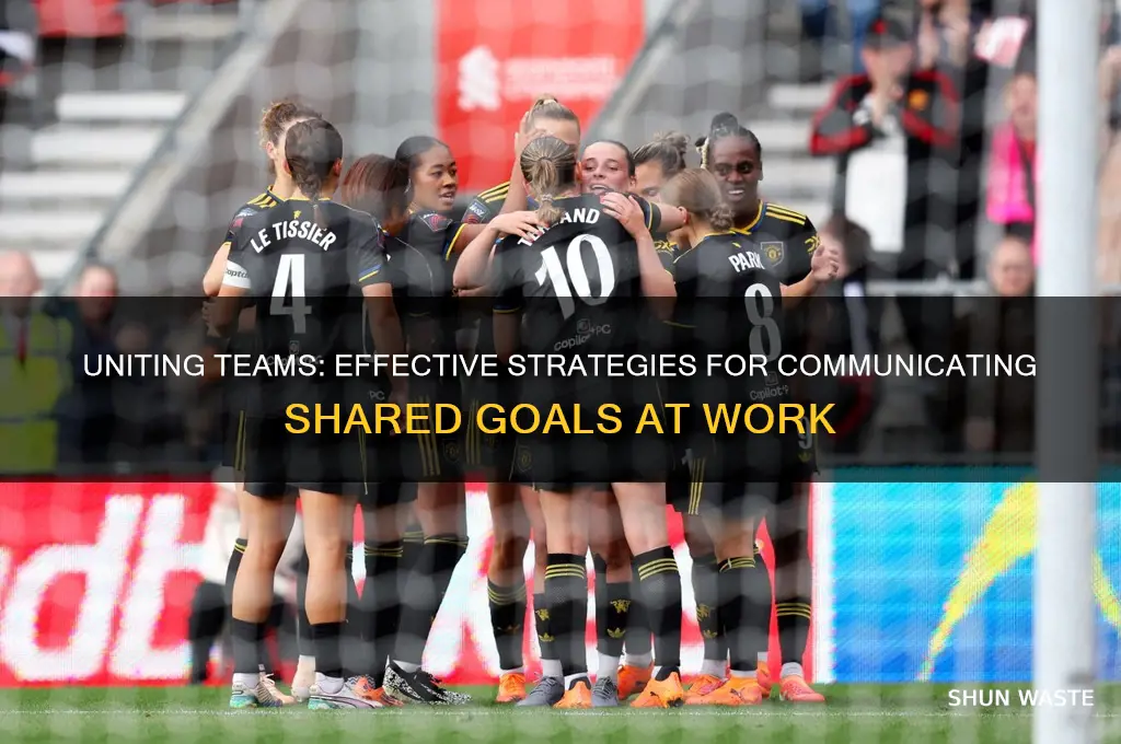 how to communicate a common goal within the work environment