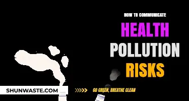 Communicating Health Pollution Risks: Strategies for Clarity