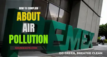 Air Pollution: Your Right to Complain and Be Heard