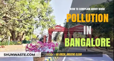Bangalore Noise Pollution: Taking Action Against It