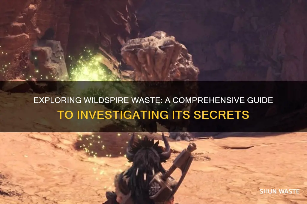 how to complete investigate the wildspire waste