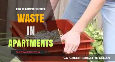 Urban Composting Guide: Turning Apartment Kitchen Scraps into Nutrient-Rich Soil