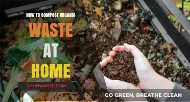 Easy Home Composting Guide: Transform Organic Waste into Nutrient-Rich Soil