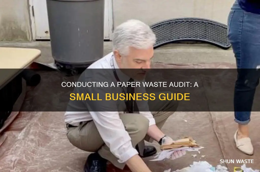 how to conduct a paper waste audit on small business