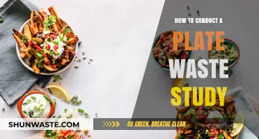 Effective Plate Waste Study: Methods, Benefits, and Implementation Tips