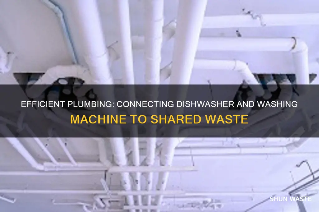 how to connect dishwasher and washing machine to same waste