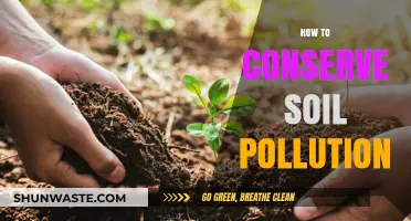 Protecting Soil: Ways to Combat Pollution
