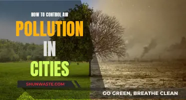 Controlling Air Pollution: Strategies for Cleaner City Air