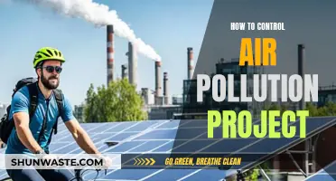 Controlling Air Pollution: Strategies for a Sustainable Future