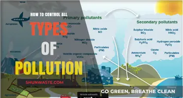 Controlling Pollution: Strategies for a Cleaner World
