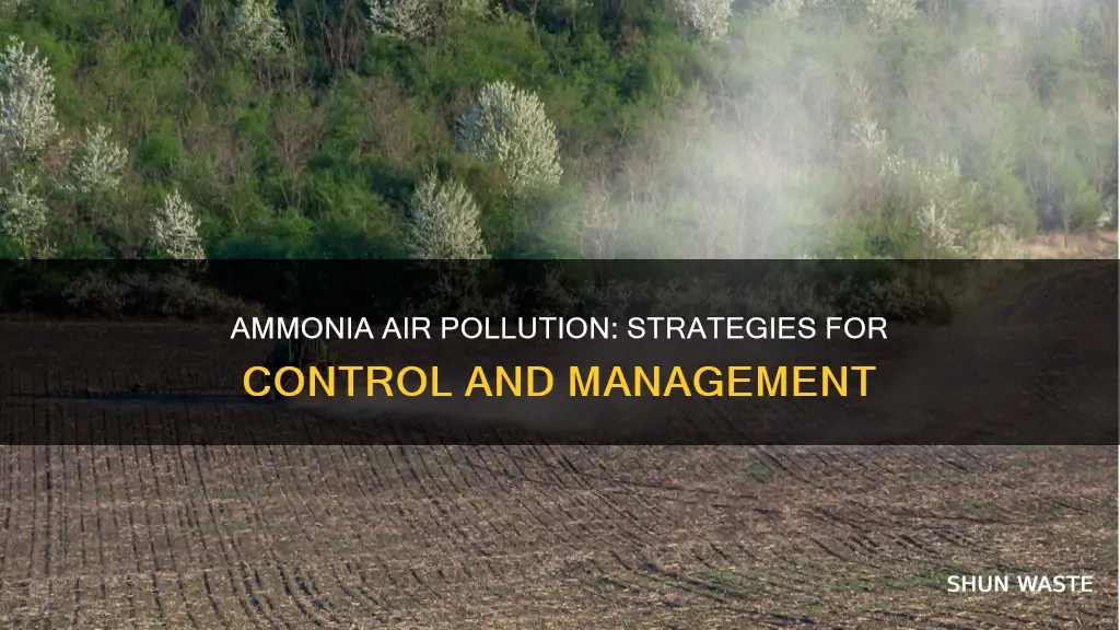 how to control ammonia air pollution