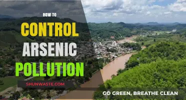 Controlling Arsenic Pollution: Strategies and Solutions