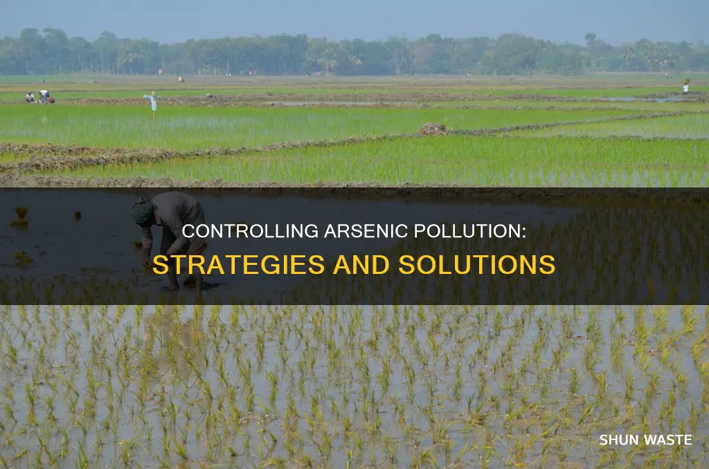 how to control arsenic pollution