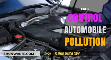 Controlling Automobile Pollution: Strategies for a Greener Tomorrow