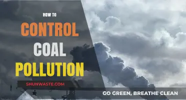 Controlling Coal Pollution: Strategies for a Cleaner Future