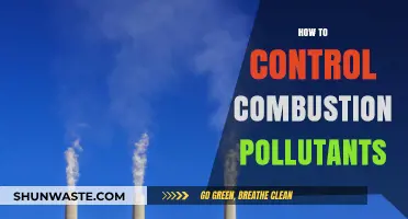 Controlling Combustion Pollutants: Strategies for Cleaner Air