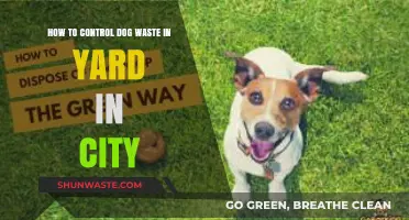 Urban Yard Care: Effective Strategies to Manage Dog Waste in Cities
