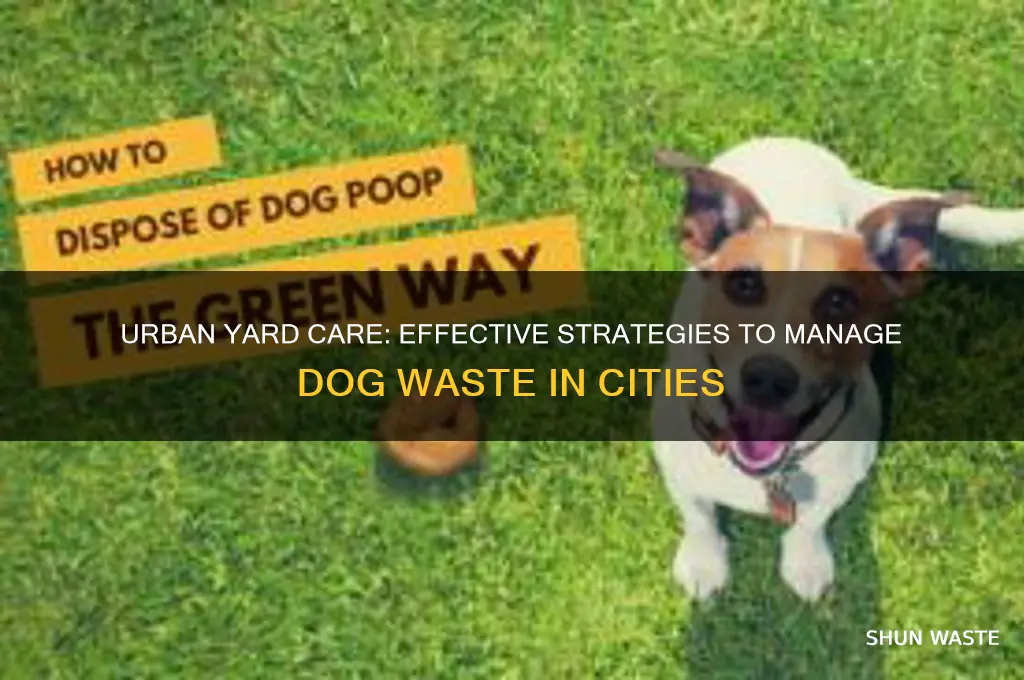 how to control dog waste in yard in city