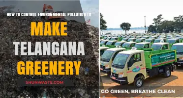 Telangana's Green Revolution: Controlling Pollution