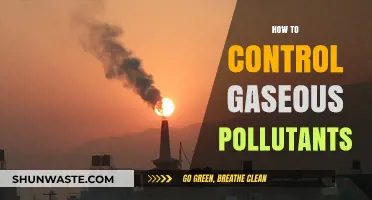 Controlling Gaseous Pollutants: Strategies for a Cleaner Environment