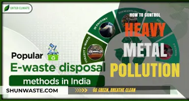 Controlling Heavy Metal Pollution: Strategies and Solutions