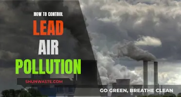 Controlling Lead Air Pollution: Strategies for a Healthier Environment