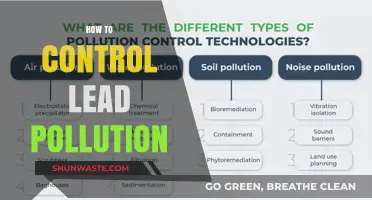 Controlling Lead Pollution: Strategies for a Sustainable Future