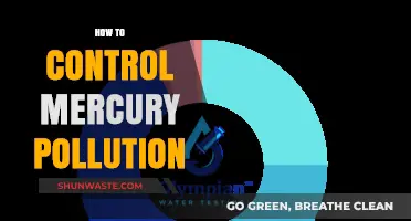 Controlling Mercury Pollution: Strategies and Solutions