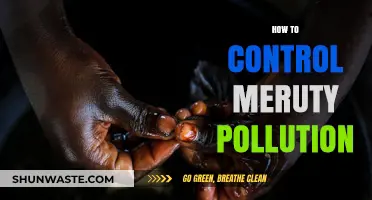 Strategies to Curb Mercury Pollution
