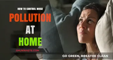 Controlling Noise Pollution: Simple Home Solutions